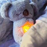 Söt Koalanalle Sovkompis - Lugnande Gosedjur